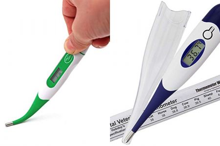 termómetros digital para animales